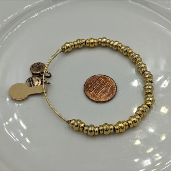 Alex and Ani Rafaleian Silver Nile Beaded Bracelet - Picture 8 of 8